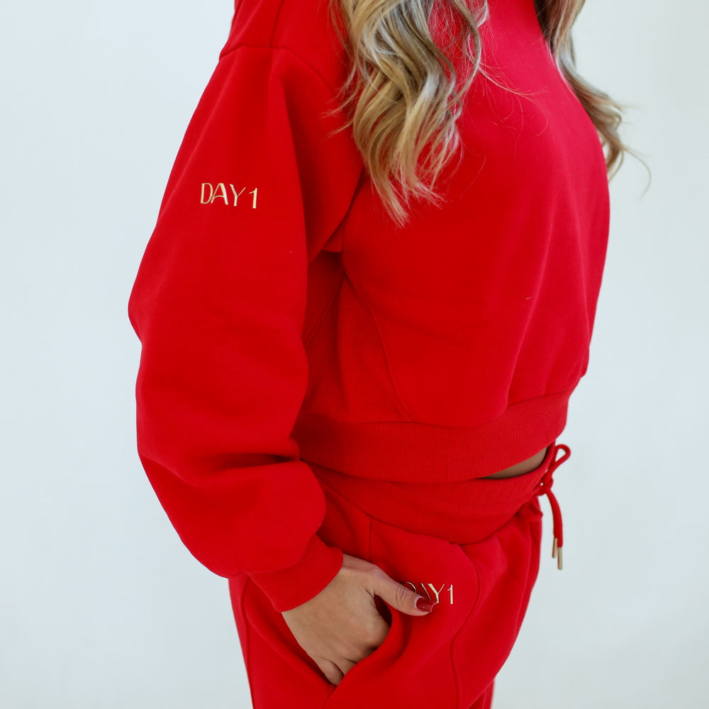 
                  
                    FINAL SALE - Plush Hoodie Sweatshirt
                  
                